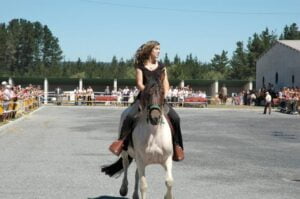 Feria del Caballo de Friol