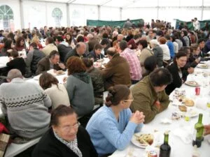 Feria de San Isidro de Pol