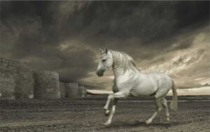 Equigal de Lugo