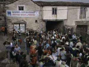Fiesta de la Vendimia en Viana do Bolo