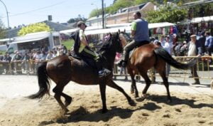 Feria del 23 de abril en Moeche