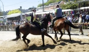 Feria del 23 de abril en Moeche