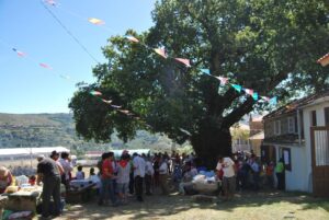 Fiesta del vino en el Pelete, Covelo