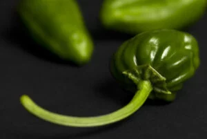 Feria del Pimiento de Mougán de Guntín