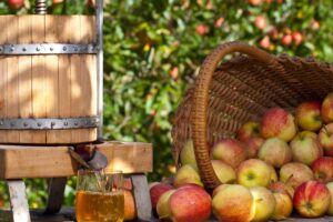 Fiesta de la sidra de Bembrive