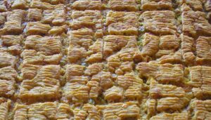 Fiesta de la empanada de Millo en Pontevedra