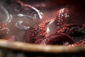Fiesta del pulpo de Bueu