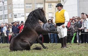 Feria Comarcal de Noia