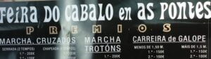 Feria del Caballo de As Pontes