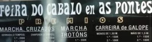 Feria del Caballo de As Pontes