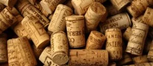 Fiesta del vino de la casa de Redondela