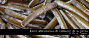 Fiesta de la navaja en Illa de Arousa
