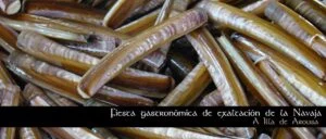 Fiesta de la navaja en Illa de Arousa