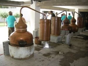 Fiesta del aguardiente de Campo Lameiro