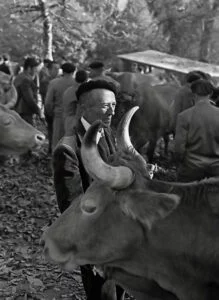 Feria de Santos de Monterroso