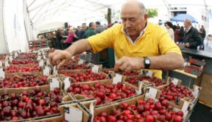 Fiesta de la cereza de Beade