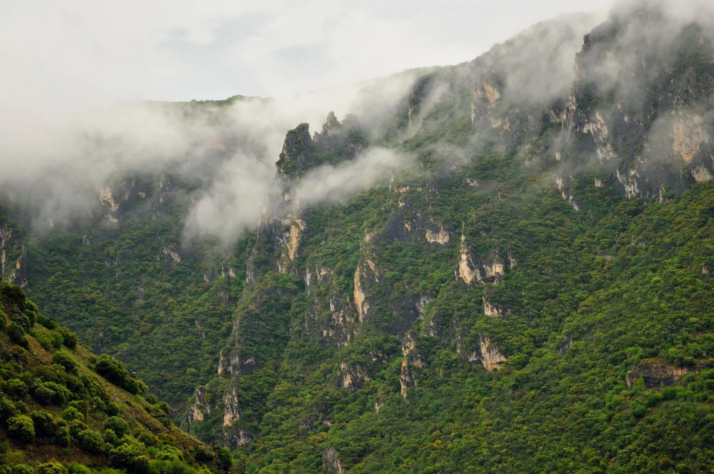 Parque Natural Serra da Enciña da Lastra