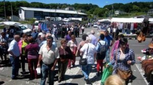 Feria de San Isidro de Paradela