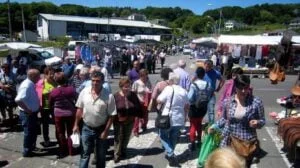 Feria de San Isidro de Paradela