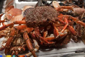 Fiesta del marisco de Vigo