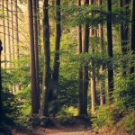 Las mejores ferias de artesanía de Galicia