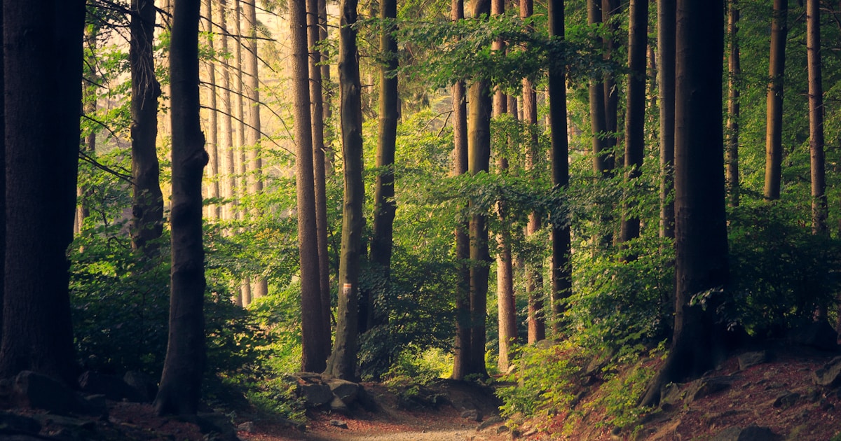 Los mejores planes gratuitos en Galicia