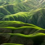 Las Festas do Apóstolo en Santiago de Compostela