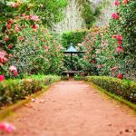 Ruta de los pazos y jardines históricos de Galicia