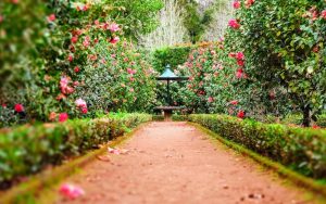 Ruta de los pazos y jardines históricos de Galicia