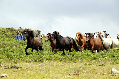 Albergue Turístico Hípico de Sabucedo - portada