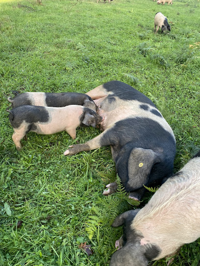Casa da Fonte - portada