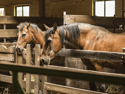Casa Quinto - portada