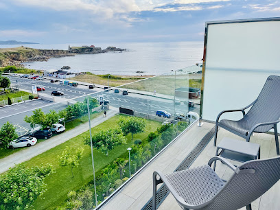 Delfín Azul - portada