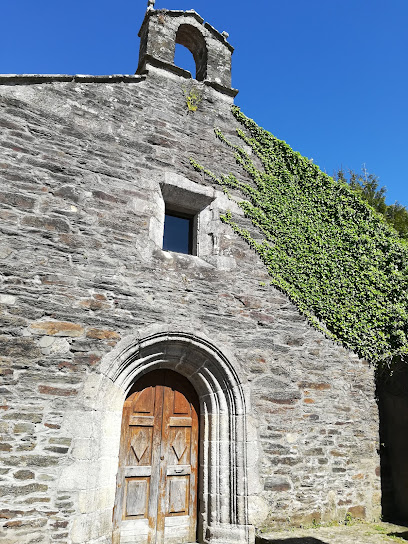 Domus Gallery - portada