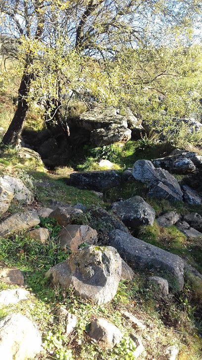 El Pedregal - portada