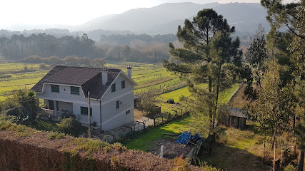 El Trébol - portada