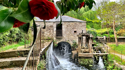 Finca Galea - portada