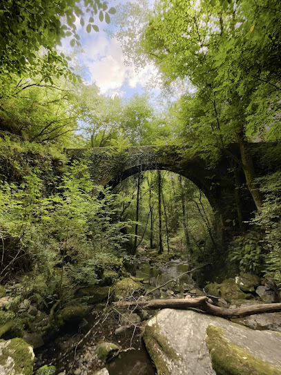 Fraga do Eume - portada