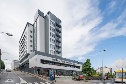 Hesperia Peregrino - portada