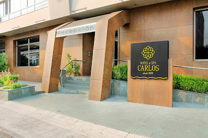 Hotel Carlos, 96 S.l - portada
