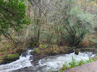 Los Molinos - portada