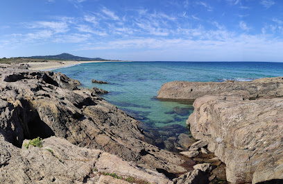 M. Sampedro - portada