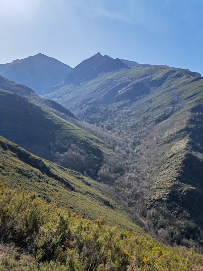 O Teixadal - portada