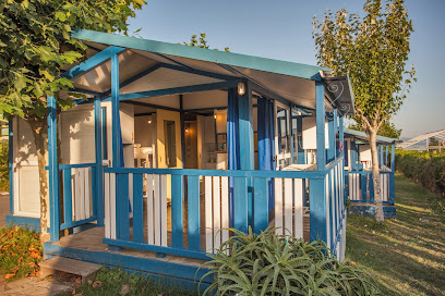 Os Fieitas - portada