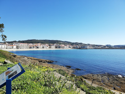 Punta Vicaño - portada