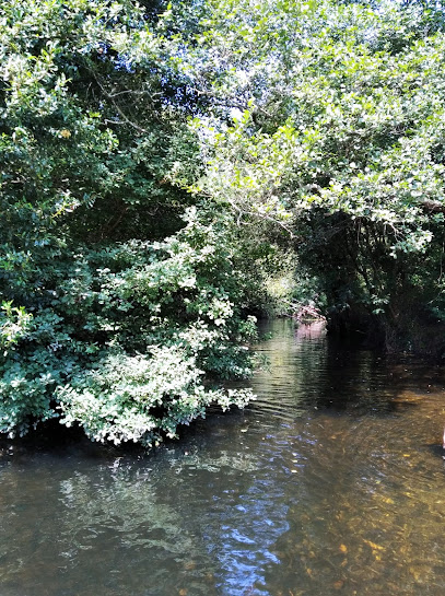 Río Xuvia - portada