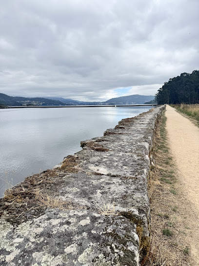 Consustancia - portada