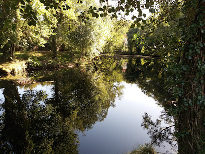 Don Antonio - portada