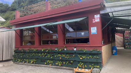 Los Árboles - portada