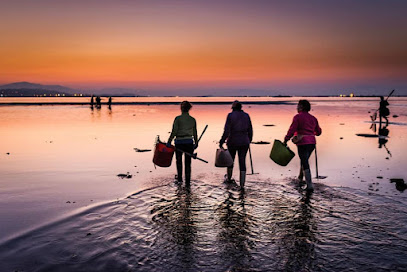 Mar Galego - portada